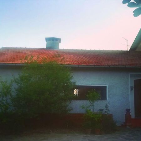 Il Capriolo Bed & Breakfast Celle Ligure Luaran gambar
